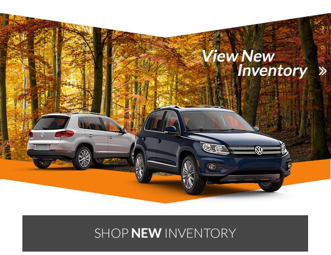 Shop New Inventory