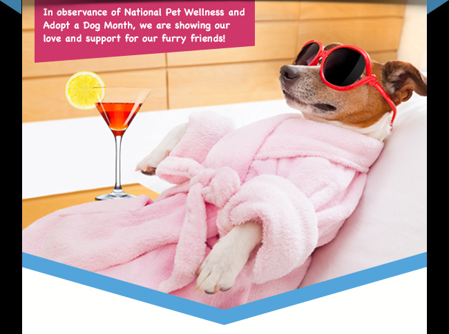 Join us for this year's 2nd annual Pamper Your Pet Day!