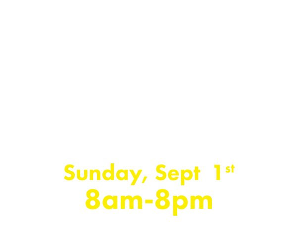 SHHH The Chapman Automotive Silent Sale!