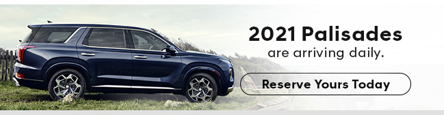 2021 Palisades