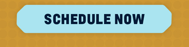 Schedule Now