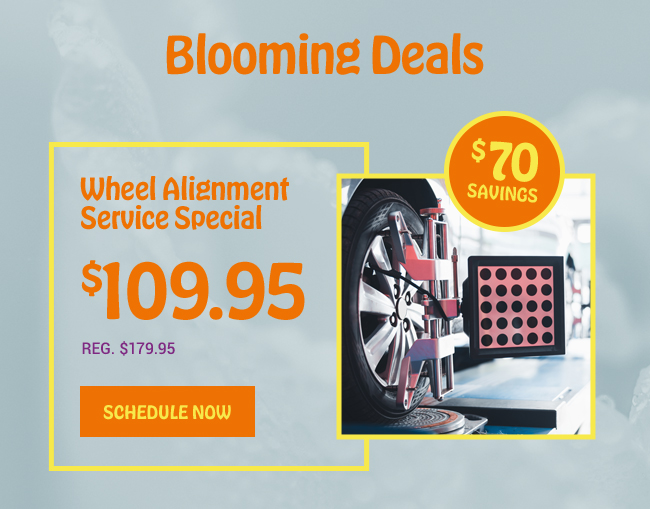 Blooming Deals, Wheel Alignment Special