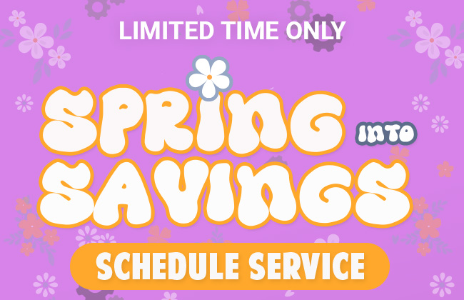 Limited Time Only Spring into Savings