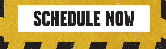 Schedule Now