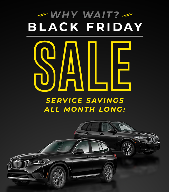 Black Friday Sale