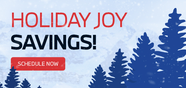 Holiday Joy Savings!