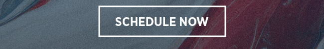 Schedule Now