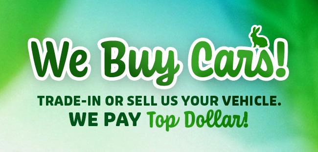 We Buy Cars