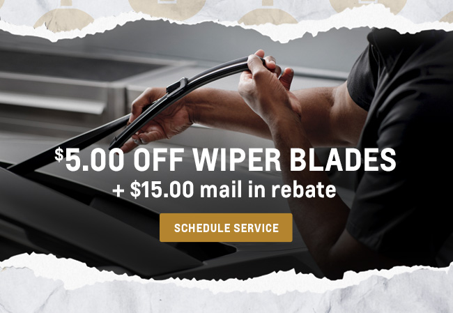 Wiper Blade Savings