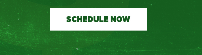 Schedule Now
