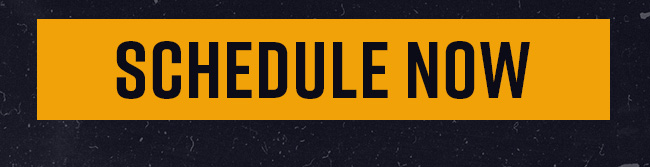 Schedule Now