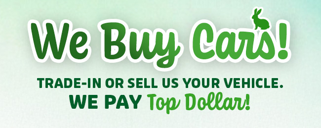 We Buy Cars
