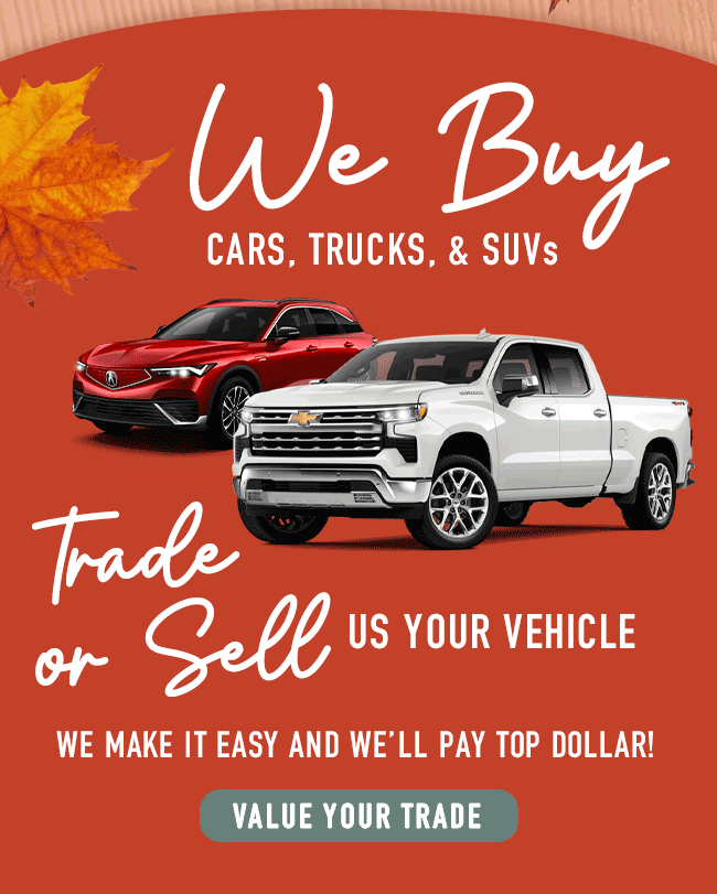 We'll buy your car