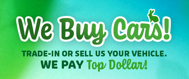We Buy Cars