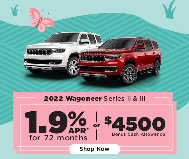 Wagoneer Special
