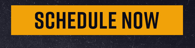 Schedule Now