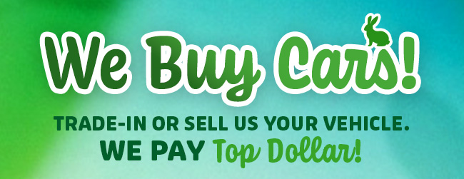 We Buy Cars