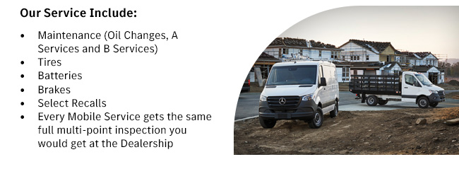 Our Services Include: