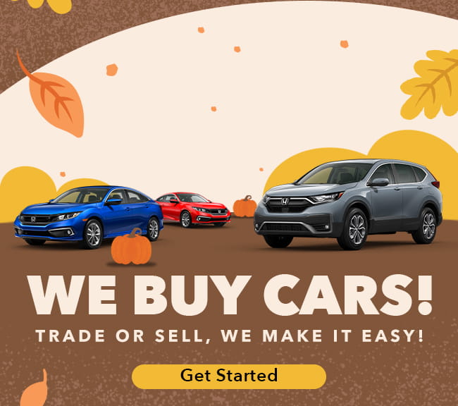 We Buy Cars!