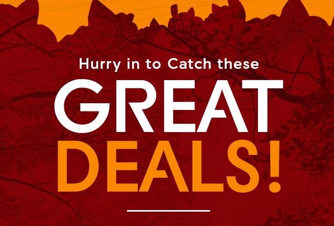 Hurry in to Catch these Great Deals!