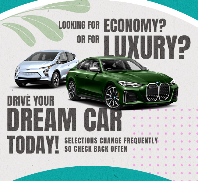 Economy or Luxury