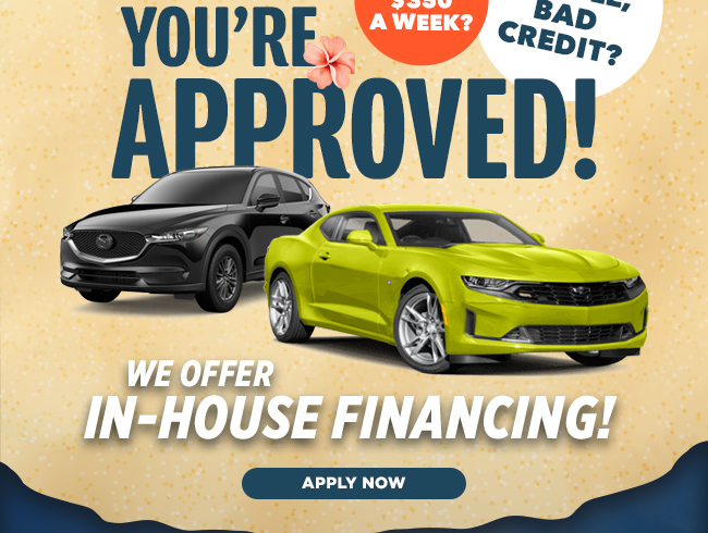 YOU'RE APPROVED!