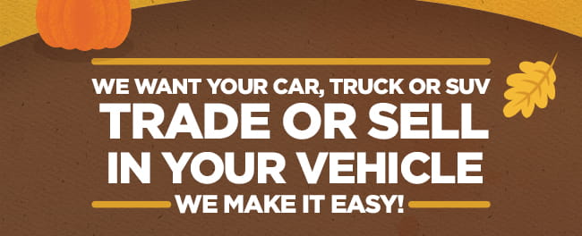 We Buy Cars!