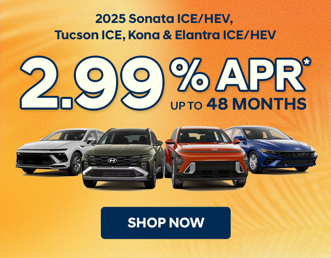2.99% APR up to 48 months