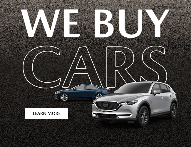 We Buy Cars