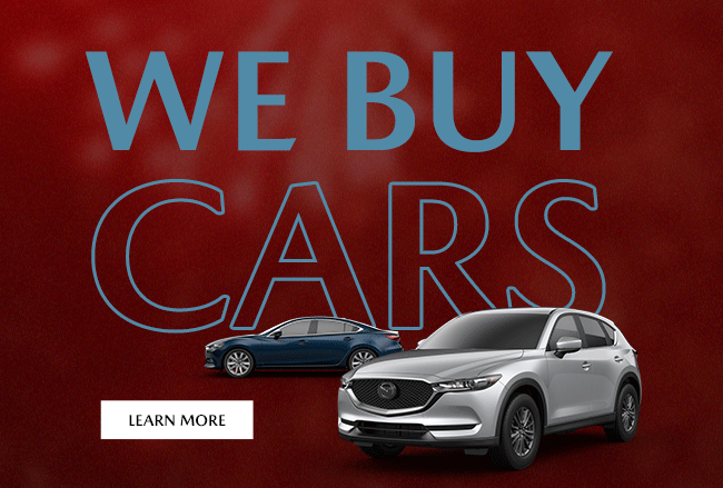 We Buy Cars