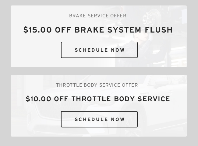 Brake Service Offer | Throttle Body Service