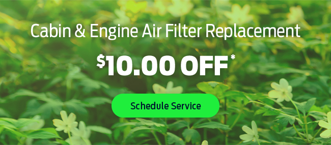 Cabin and Engine Air Filter Replacement
