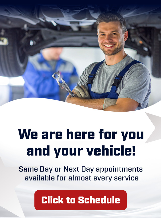 Schedule An Appointment