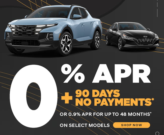 Black Friday Sales Event