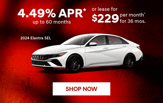 Shop Models Specials