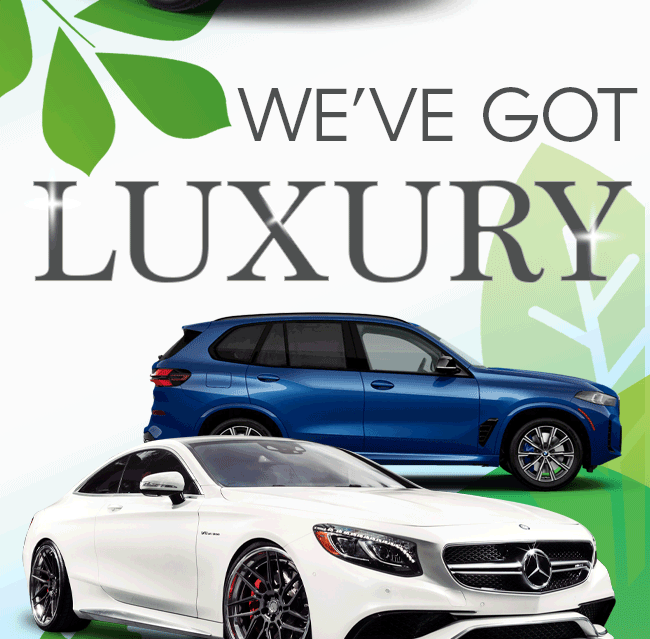 Luxury Cars