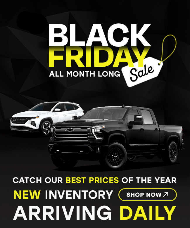 Black Friday Sale