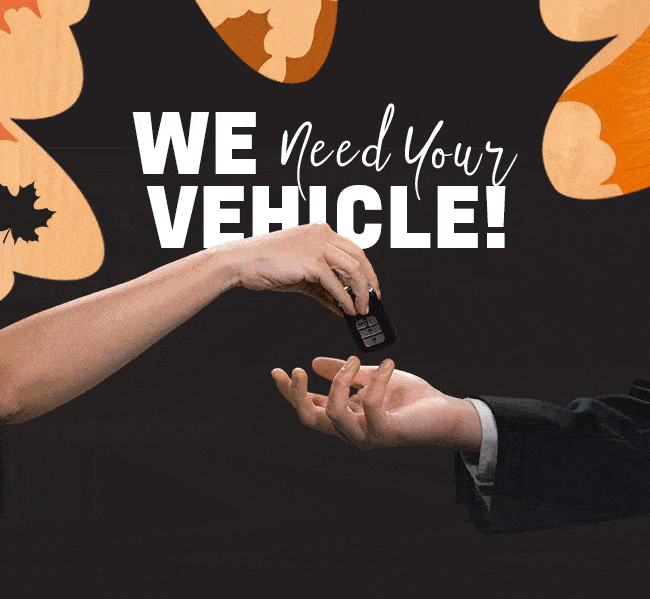 WE NEED YOUR VEHICLE!