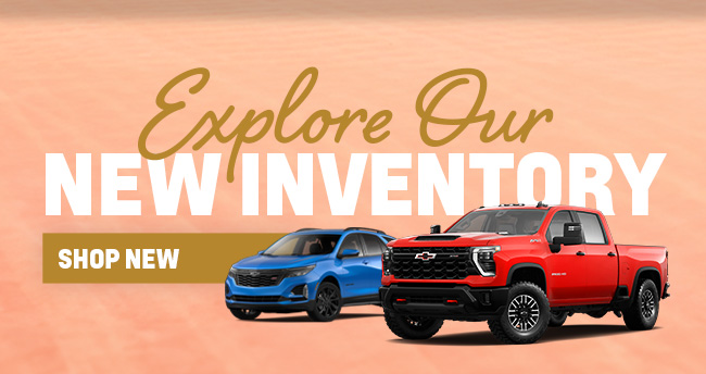Explore Out New Inventory