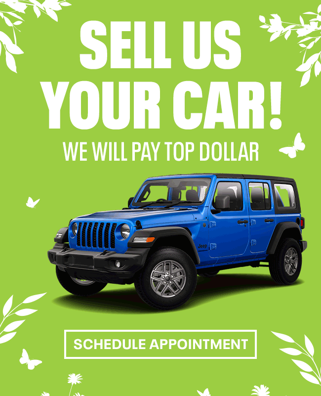 Sell Us Your Car!
