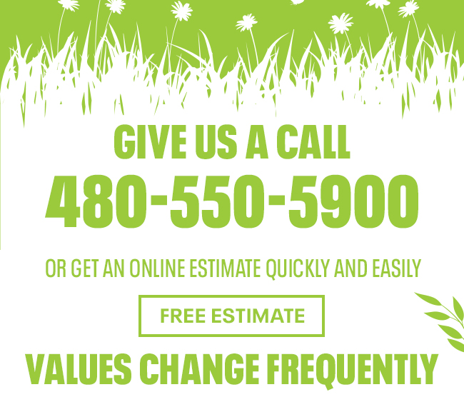 Free Estimate
